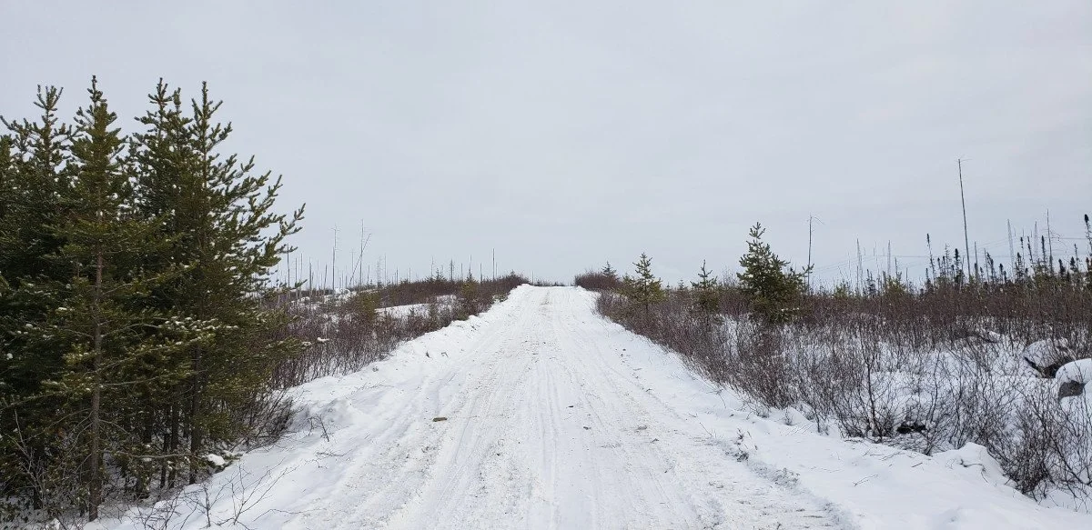 Road into the NISK project